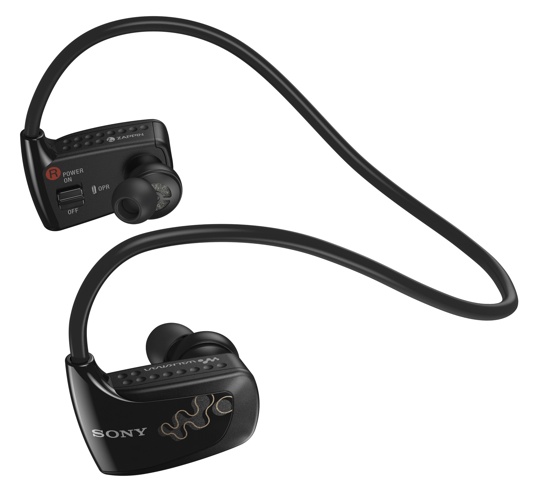 Sony Walkman NWZ-W260